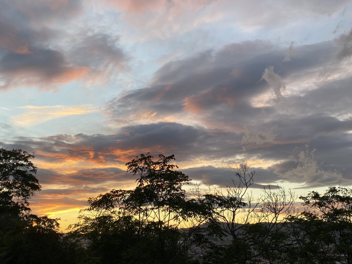 Výhled - Parc de Montjuic