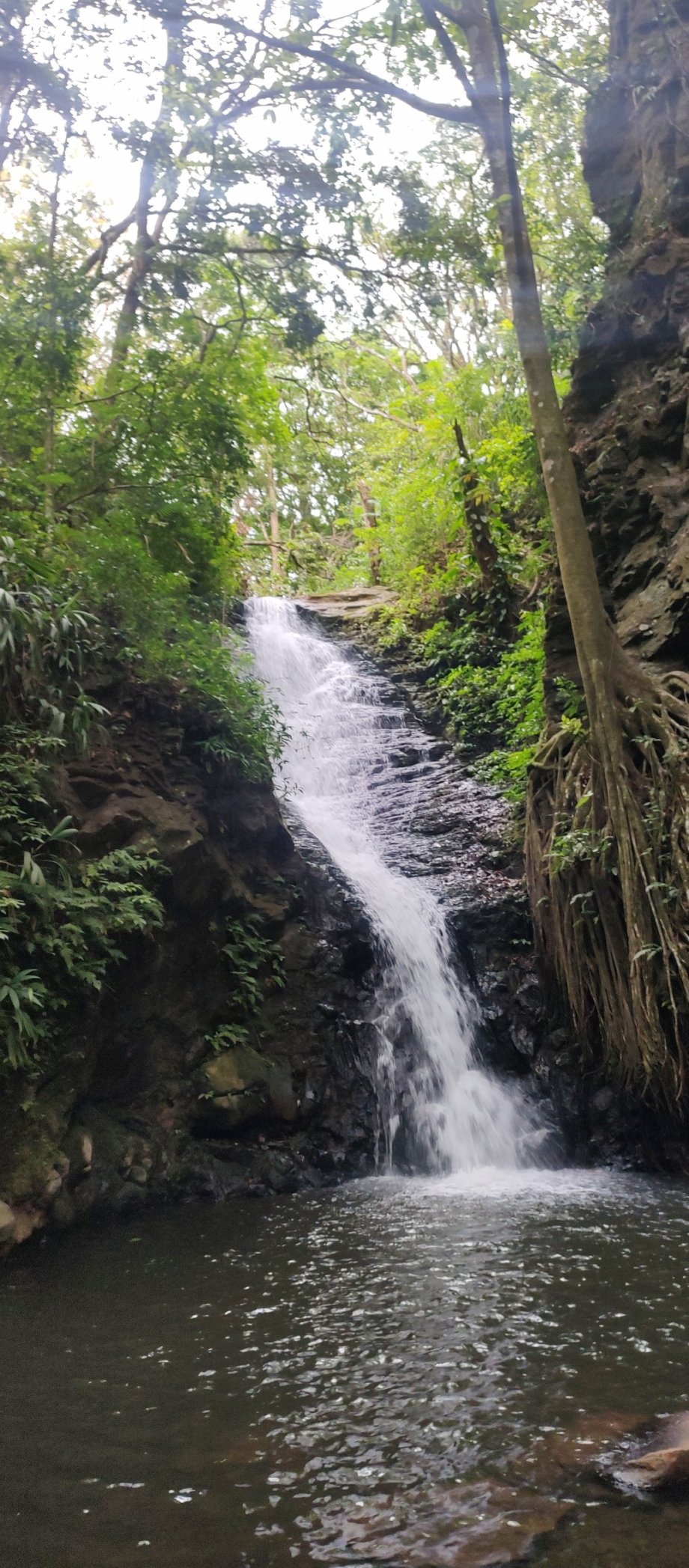 Catarata Monteverde