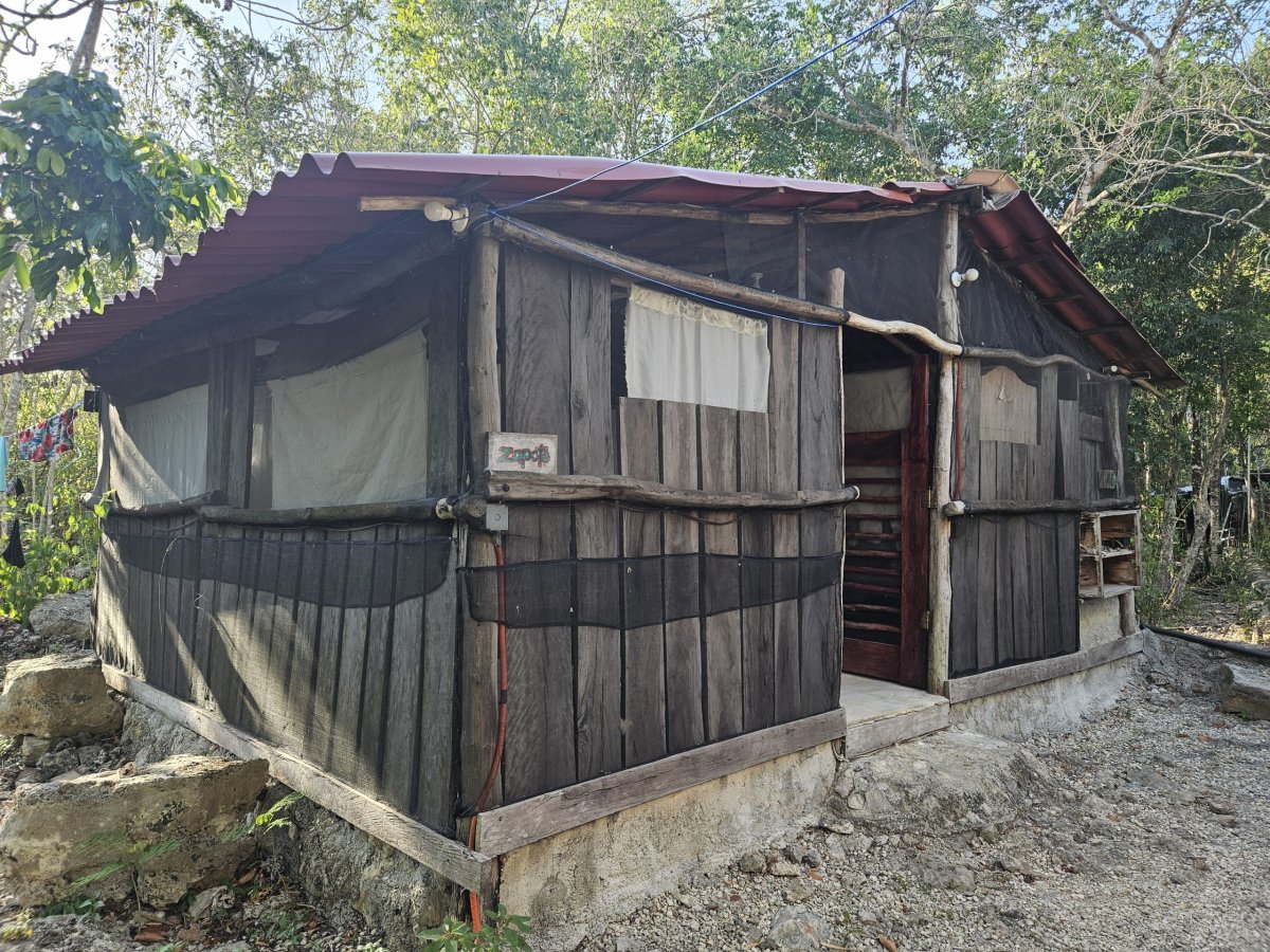 Ubytování v jungli