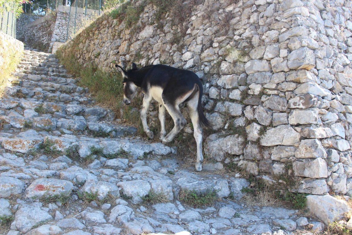 Na Sentiero Degli Dei potkáte i spoustu místních