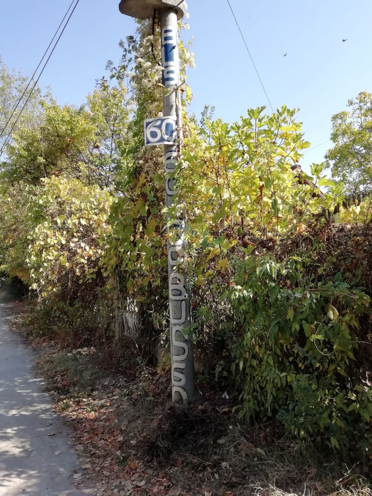 Nenápadné, ale pěkné značení zastávky