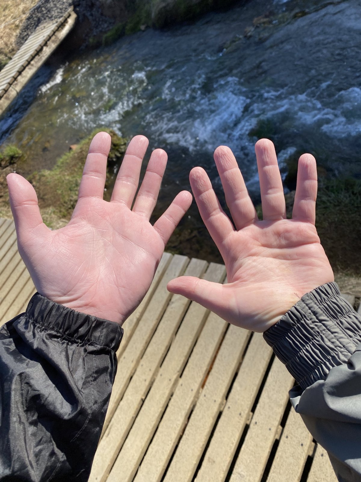 Reykjadalur - varhánky