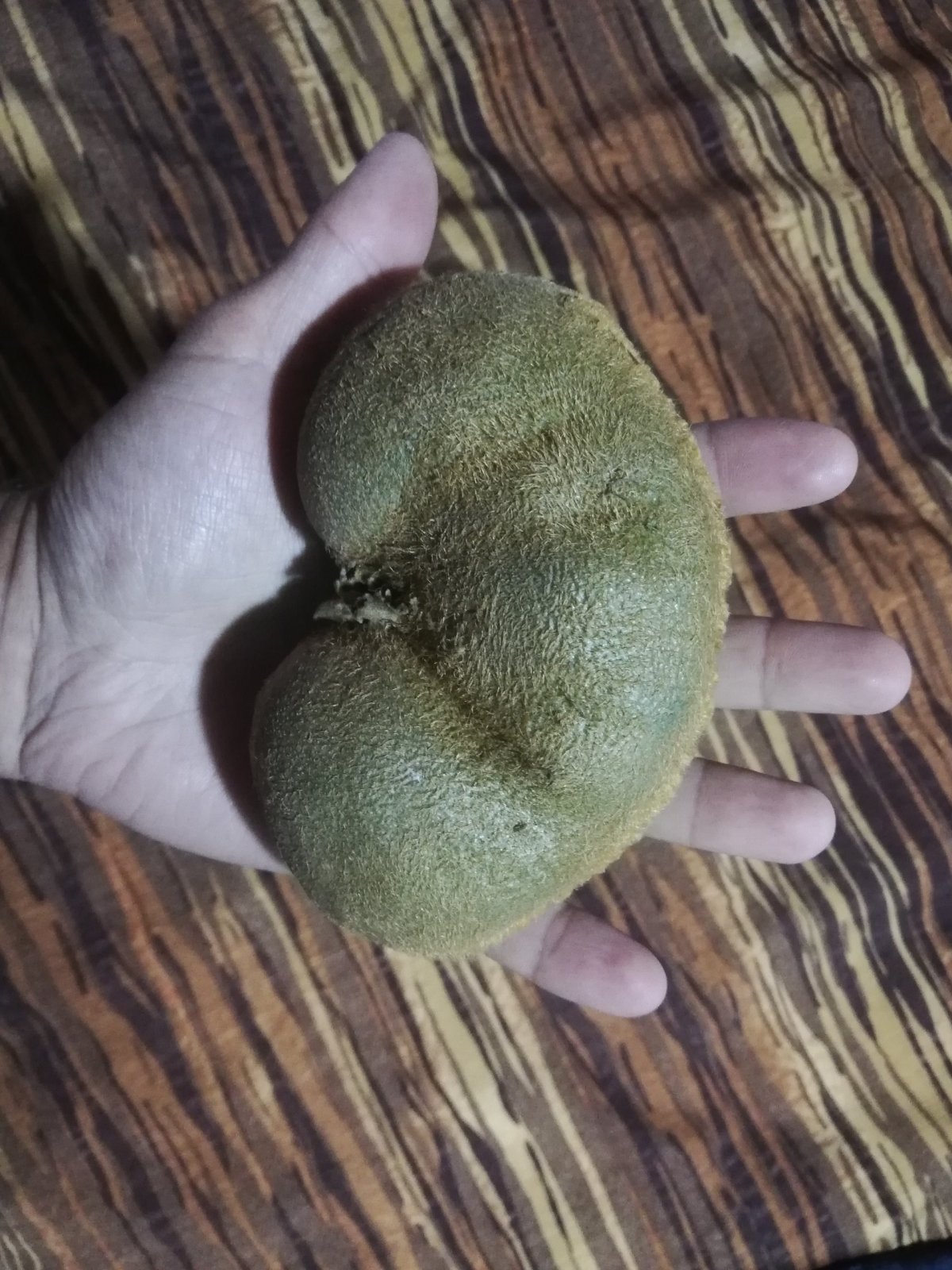 Největší kiwi, co jsem kdy jedl