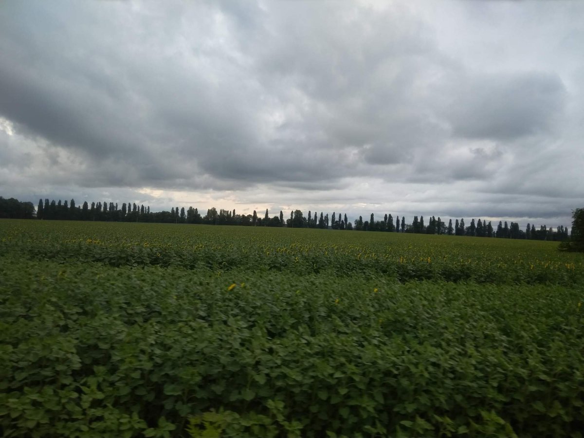 Když přichází noc 