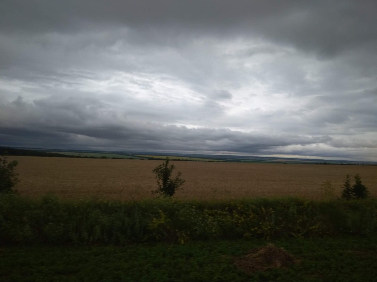 Ráno před Oděssou 