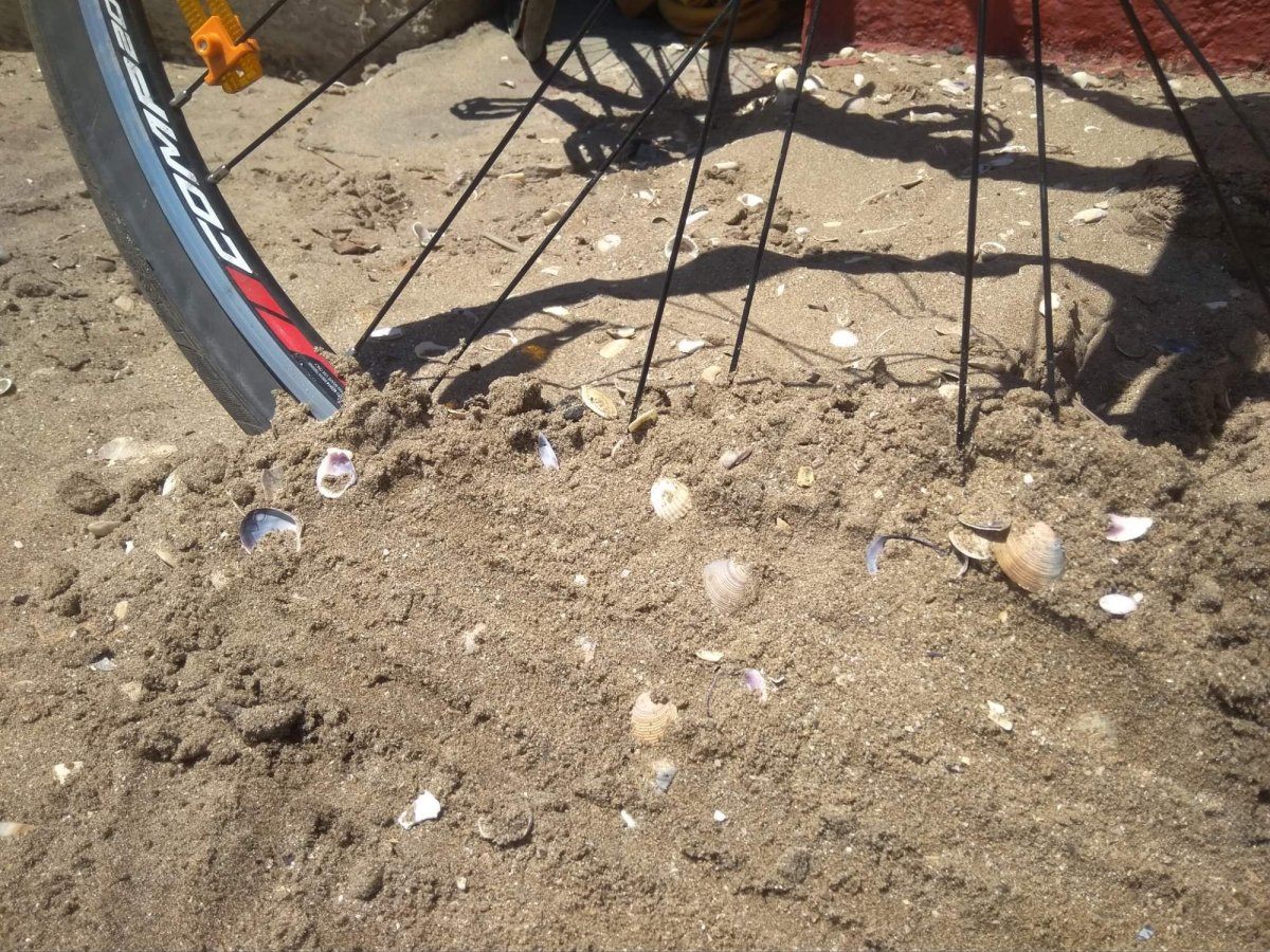 Kolo v cíli u moře 