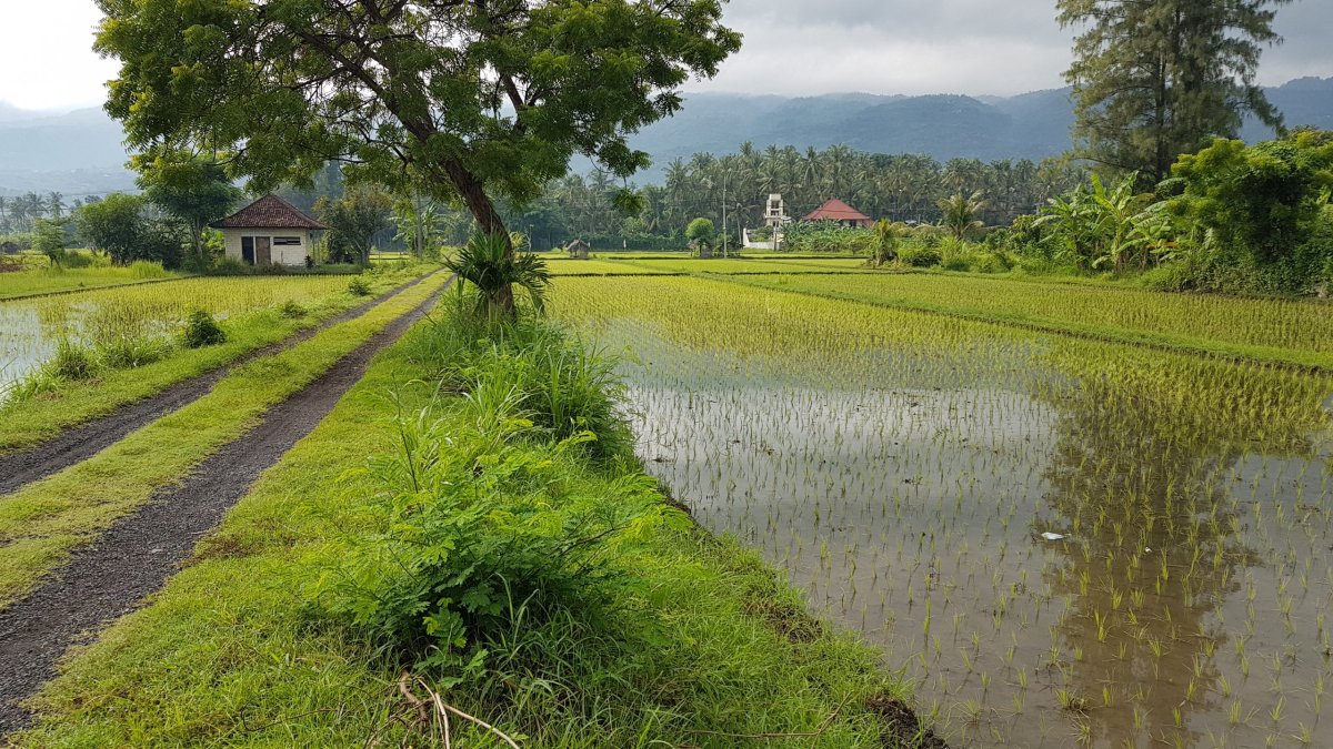 Poslední noc na Bali