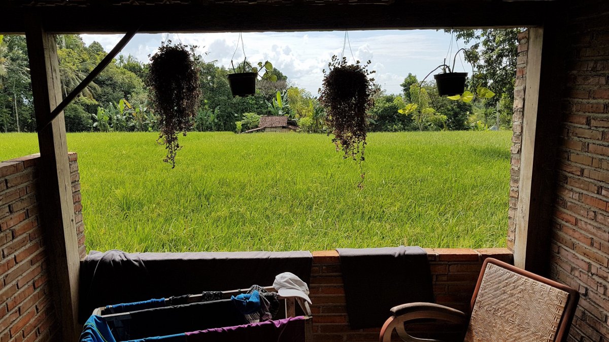 Terasa s výhledem na rýžová pole