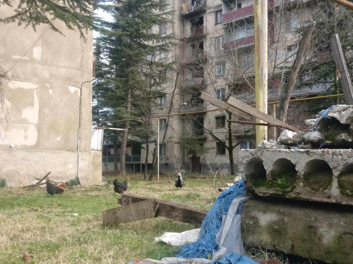 Typické živé sídliště