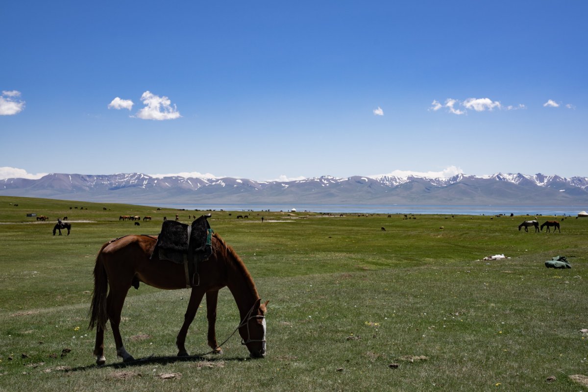 krajina u jezera Son Kul 