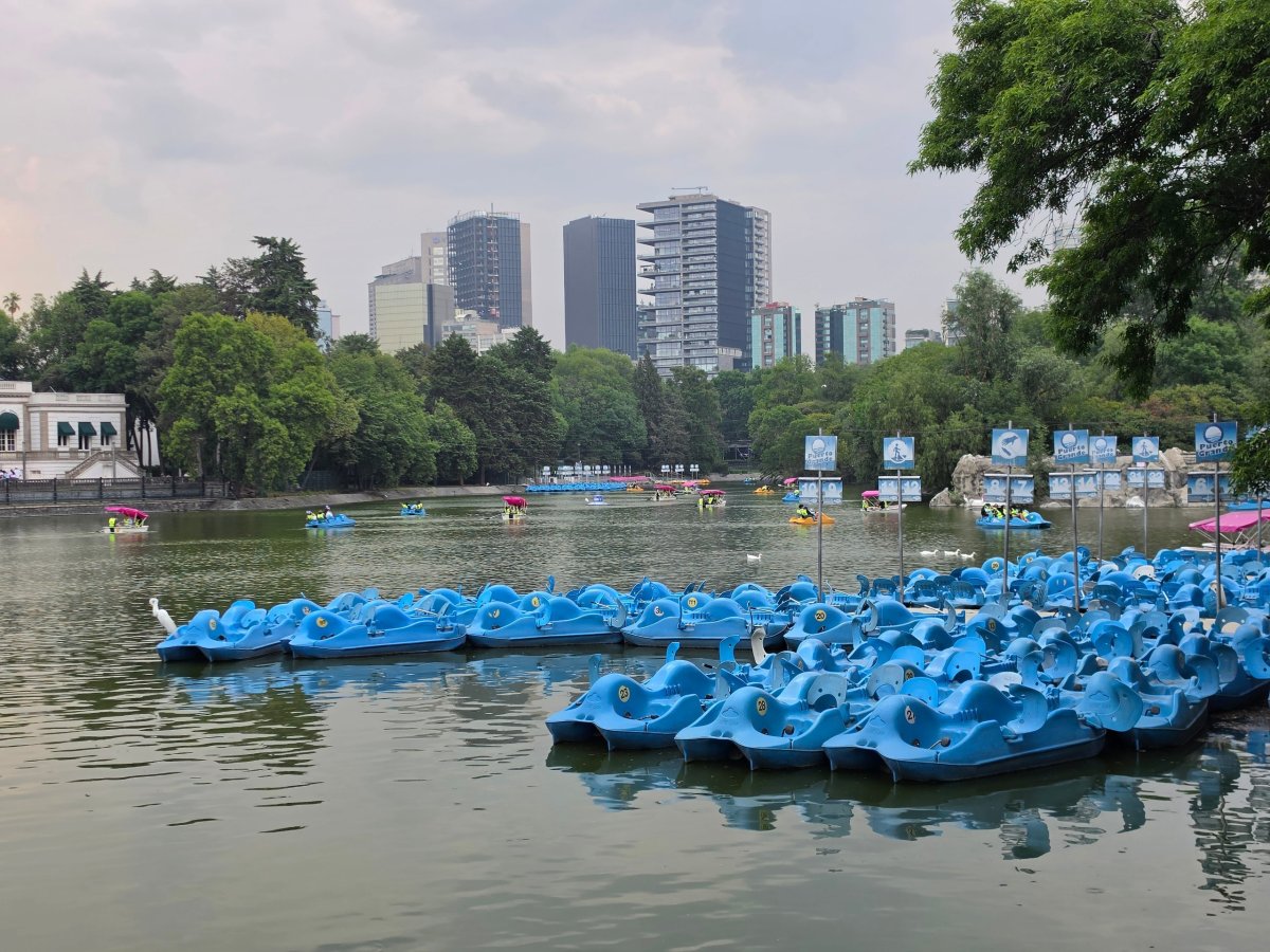 Bosque de Chapultepec