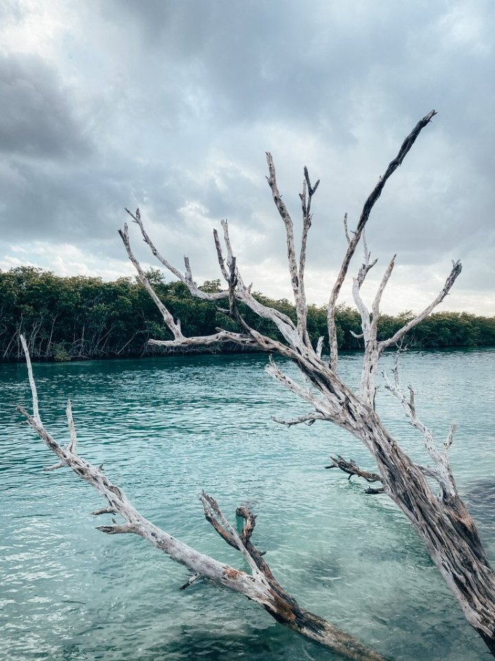 Procházka podél Jardin de Arte.