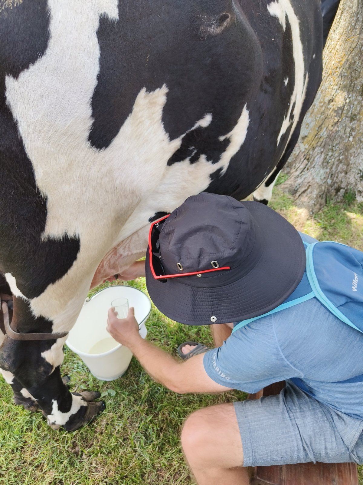 chytnout, zmačknout, zatáhnout