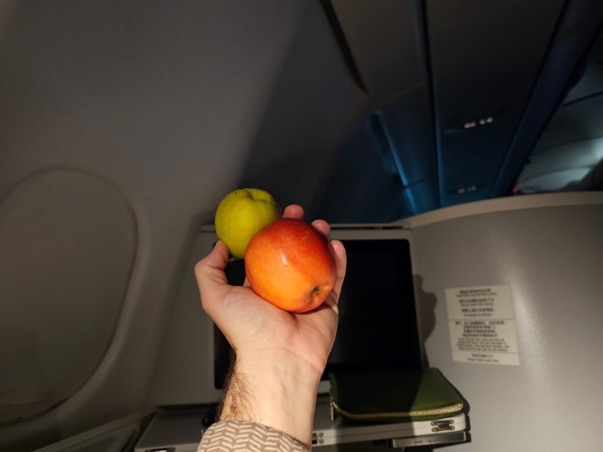 Ovoce během letu