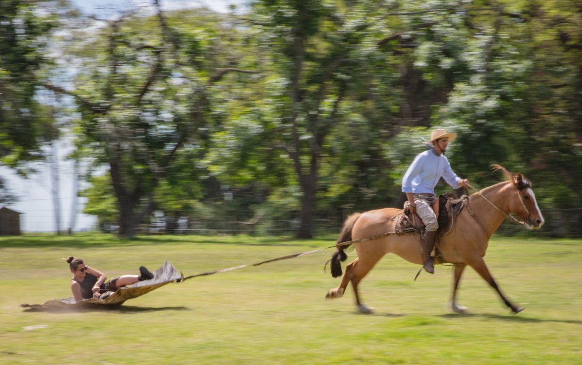 Ten kůň mě posmýkal