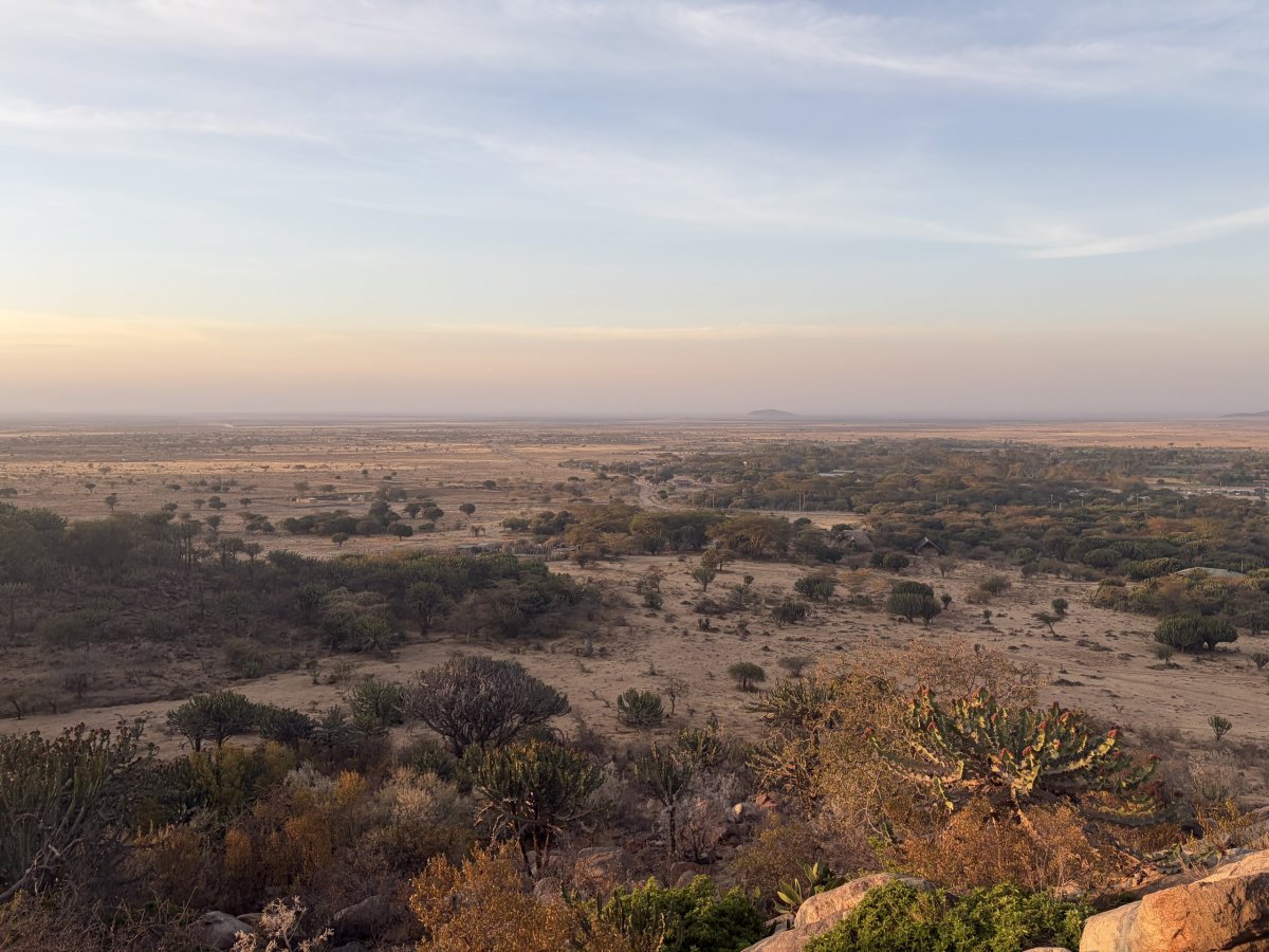 Savana