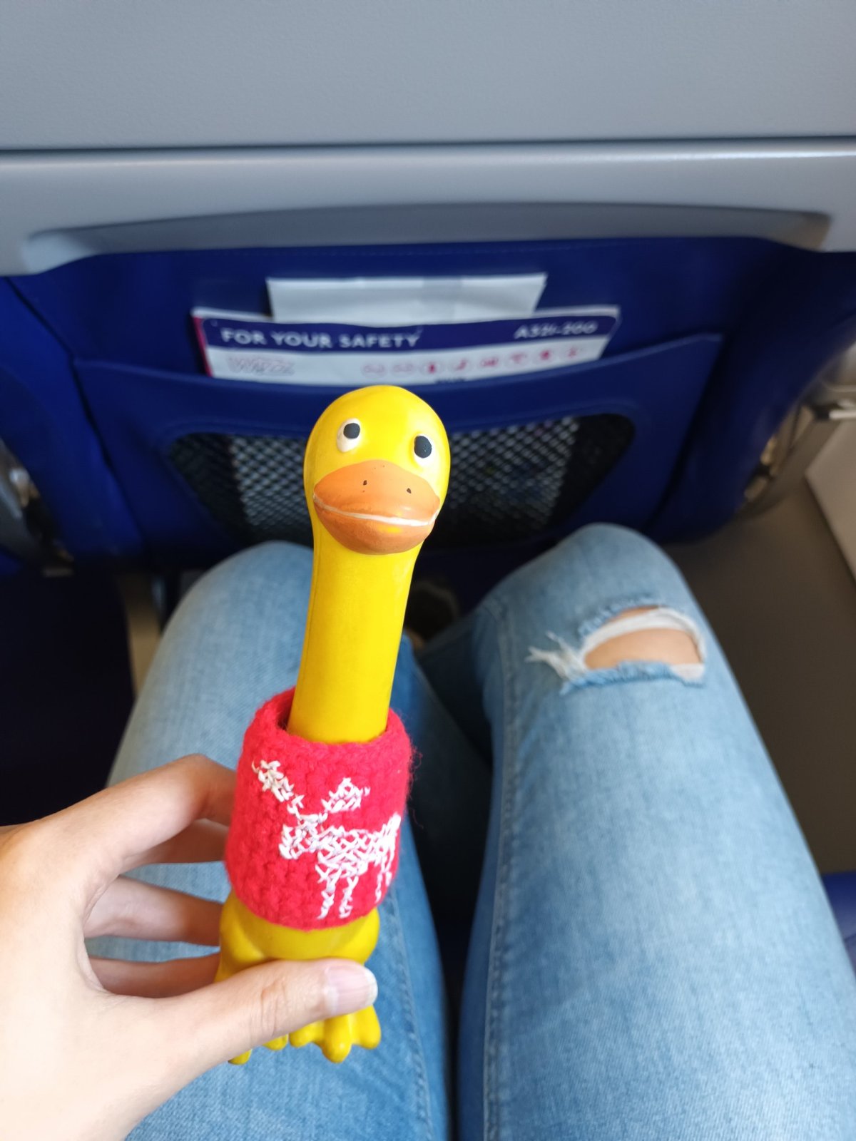 Můj nový norský svetr 👕