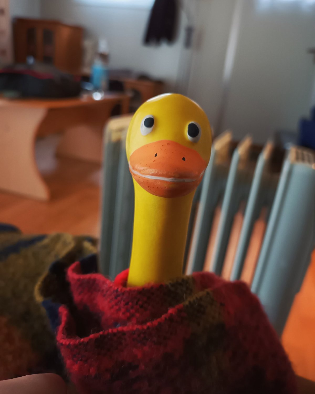 Nejlépe je v dece u teplíčka.. jinak mám rampouchy na zobáčku 🥶