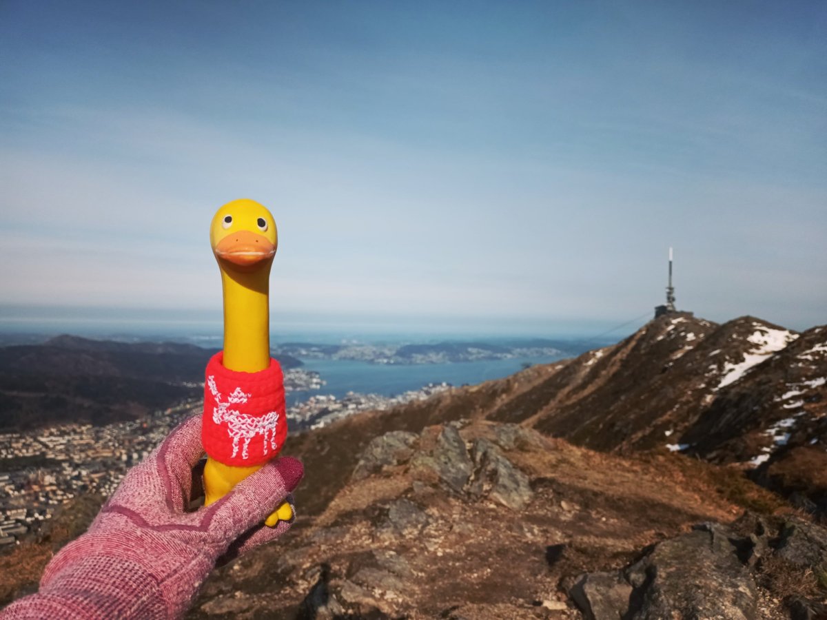 Výhled na Bergen za odměnu