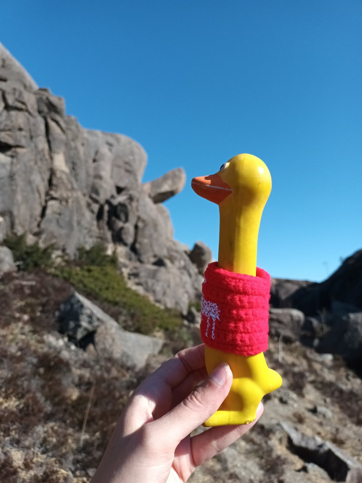 To není pinďour.. ale zobáček!