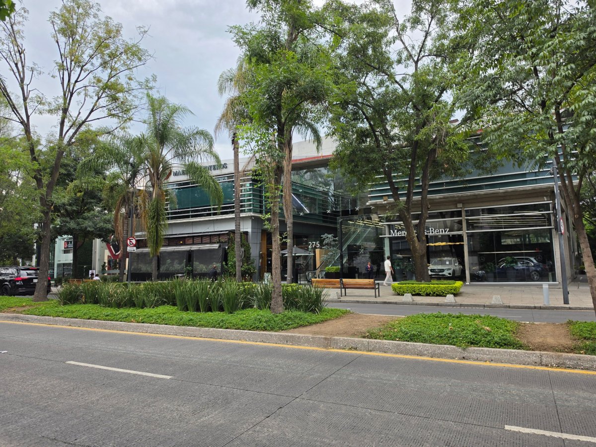 Polanco
