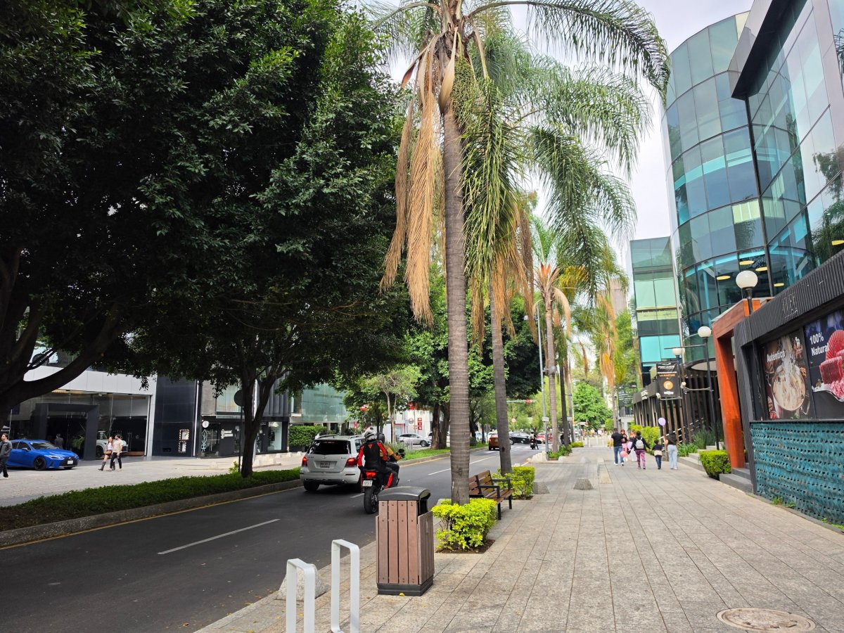 Polanco