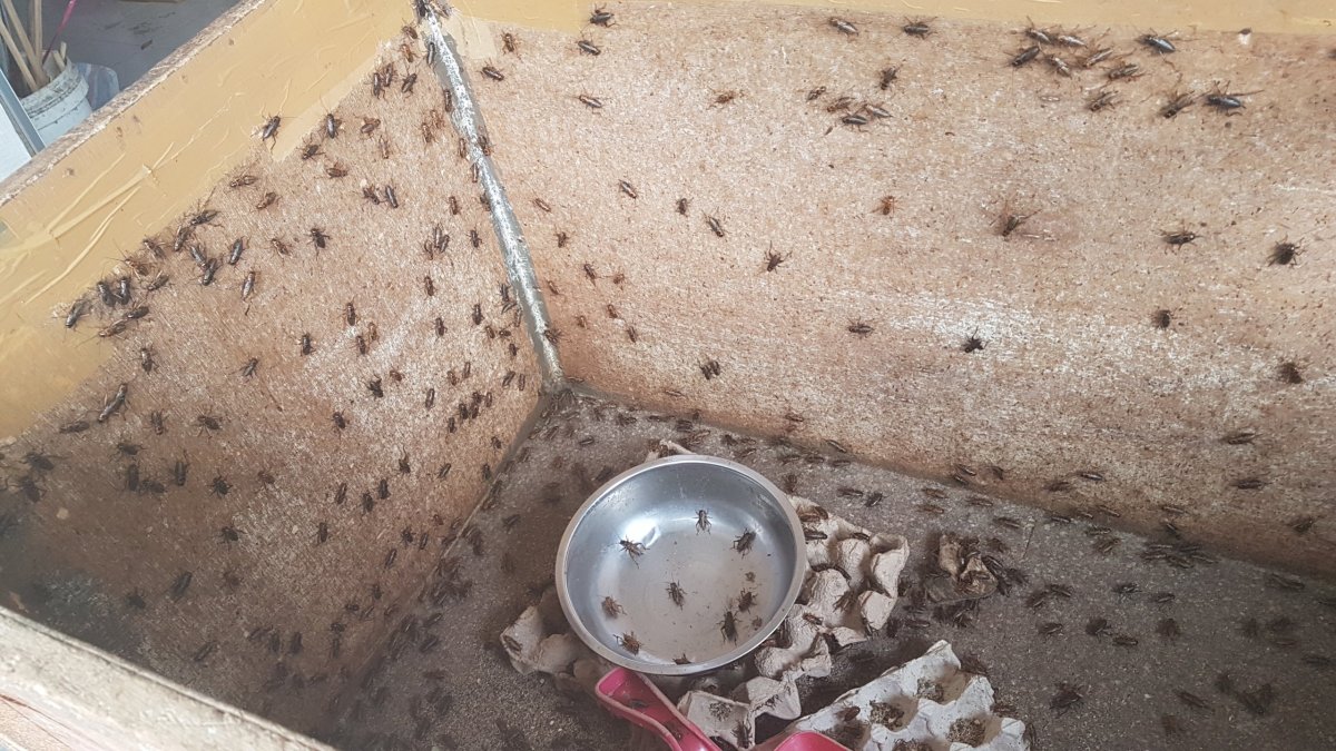 Cesta na záchod v restauraci