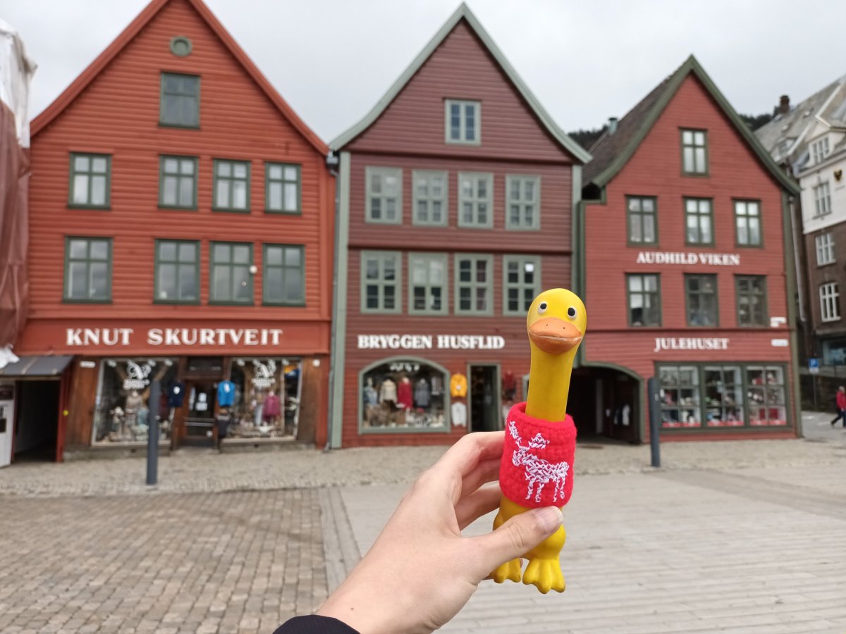 Krásy Bergenu: Bryggen..