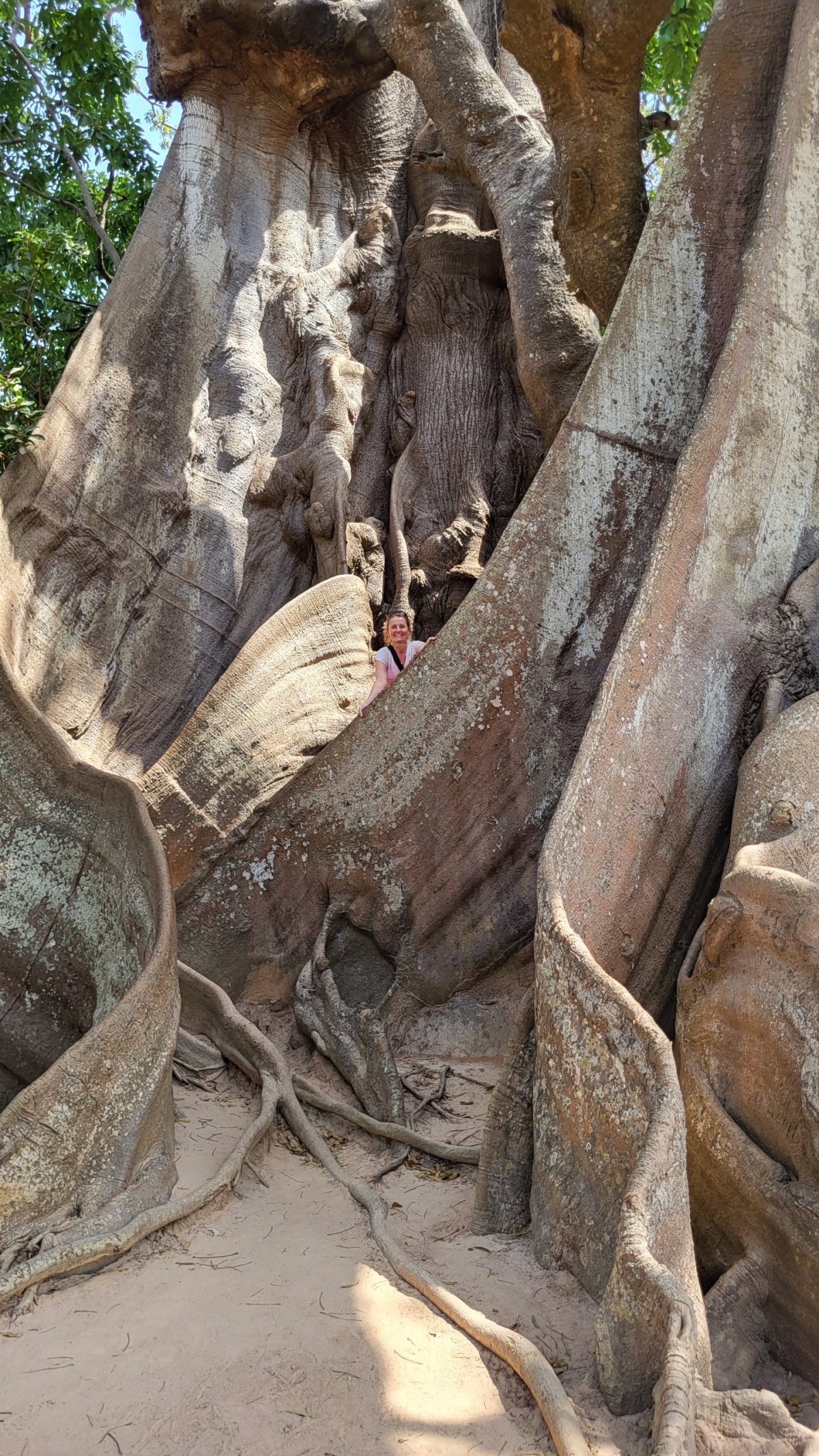 Petra uvnitř největšího baobabu v Senegalu