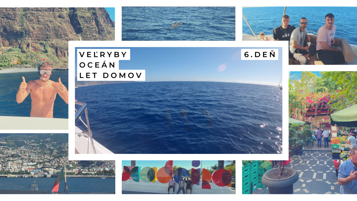 titulná fotka 6. dňa