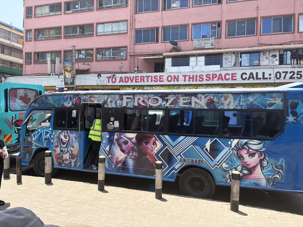 Frozen matatu