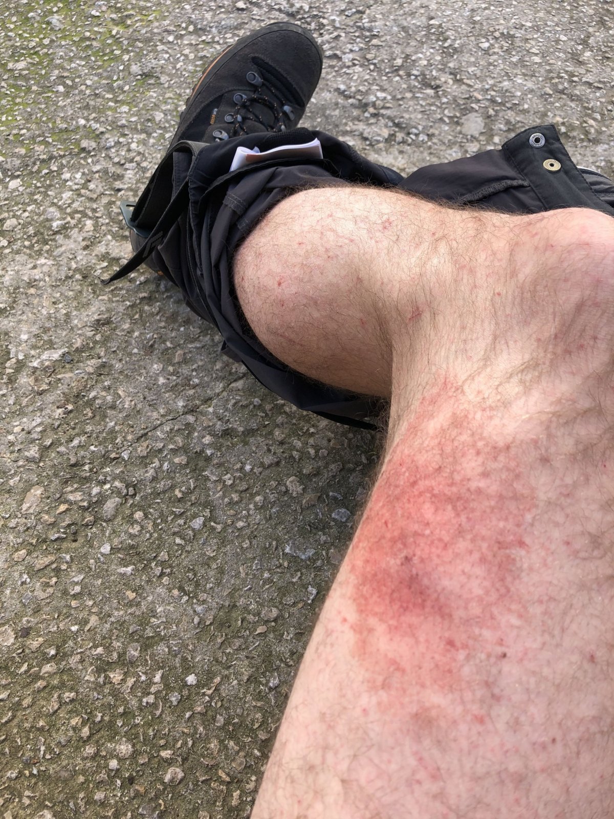 Tohle chvilku vypadalo všelijak