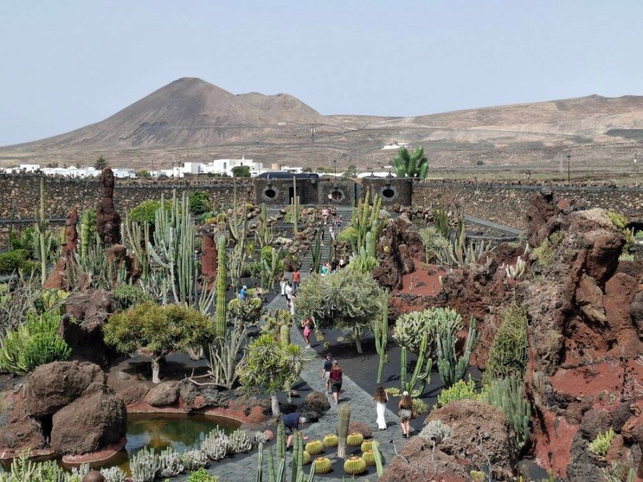 Jardín de Cactus