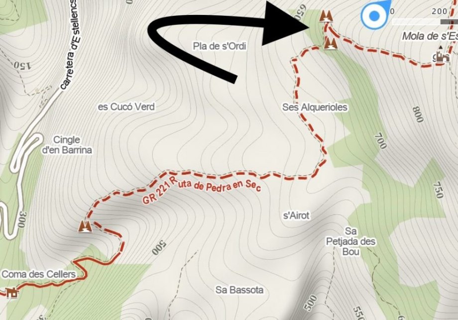 Místo střetu s dobytkem