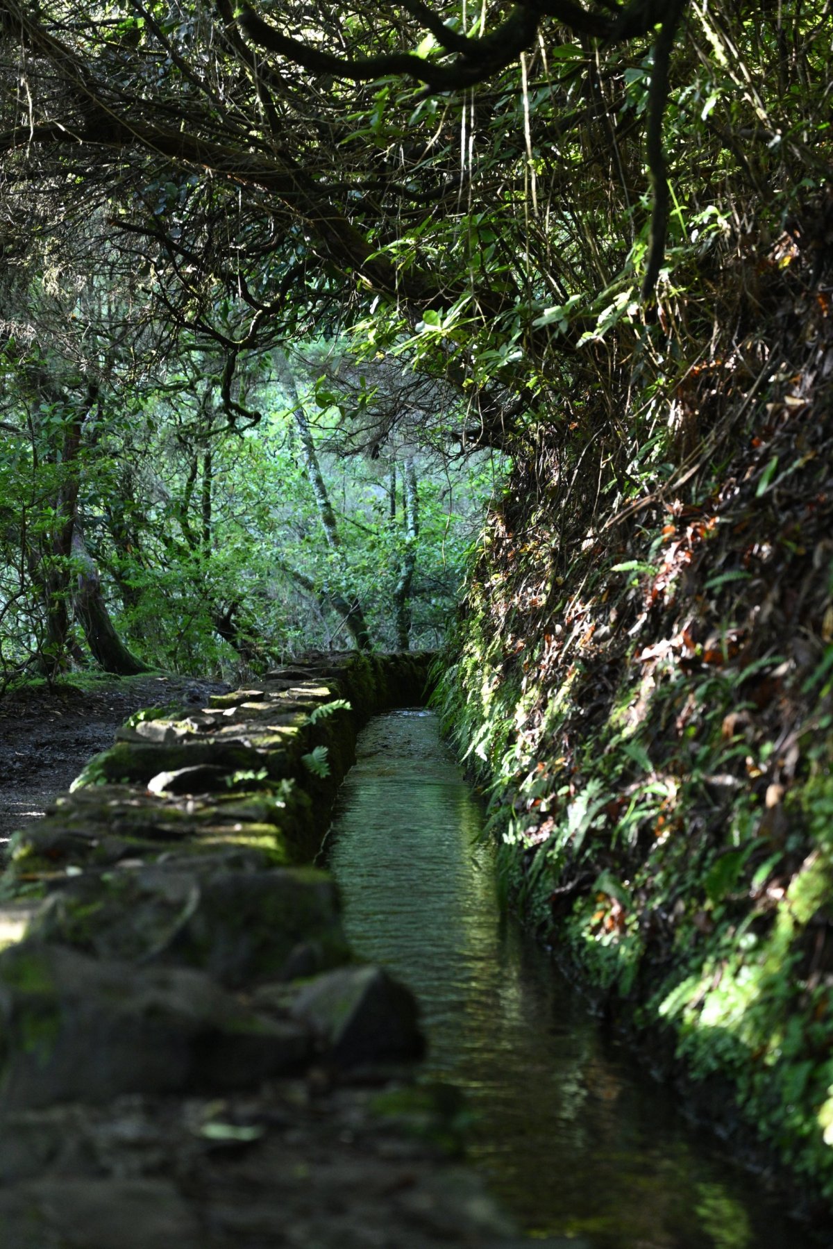 Levada do Caldeirão Verde