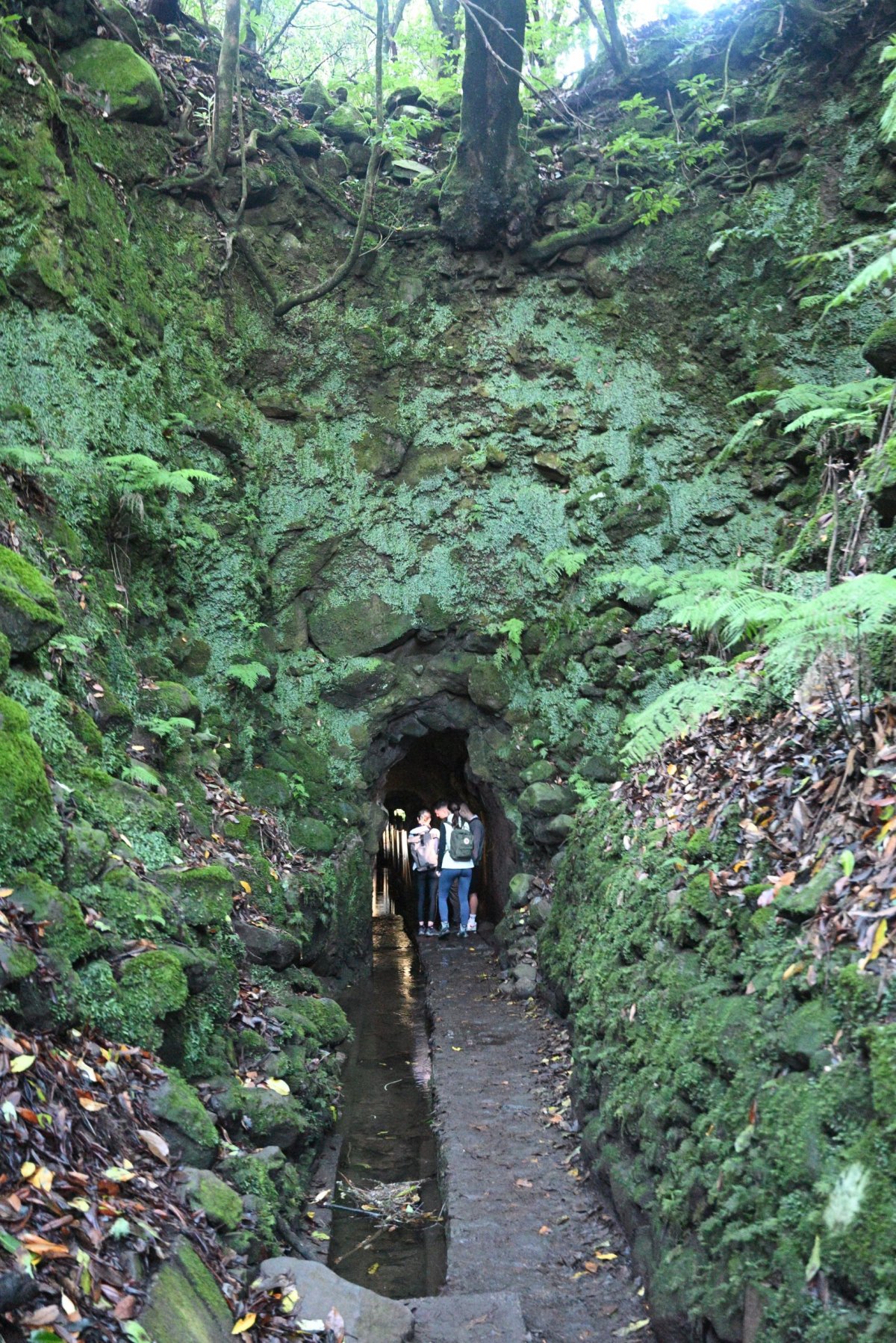 Levada do Caldeirão Verde