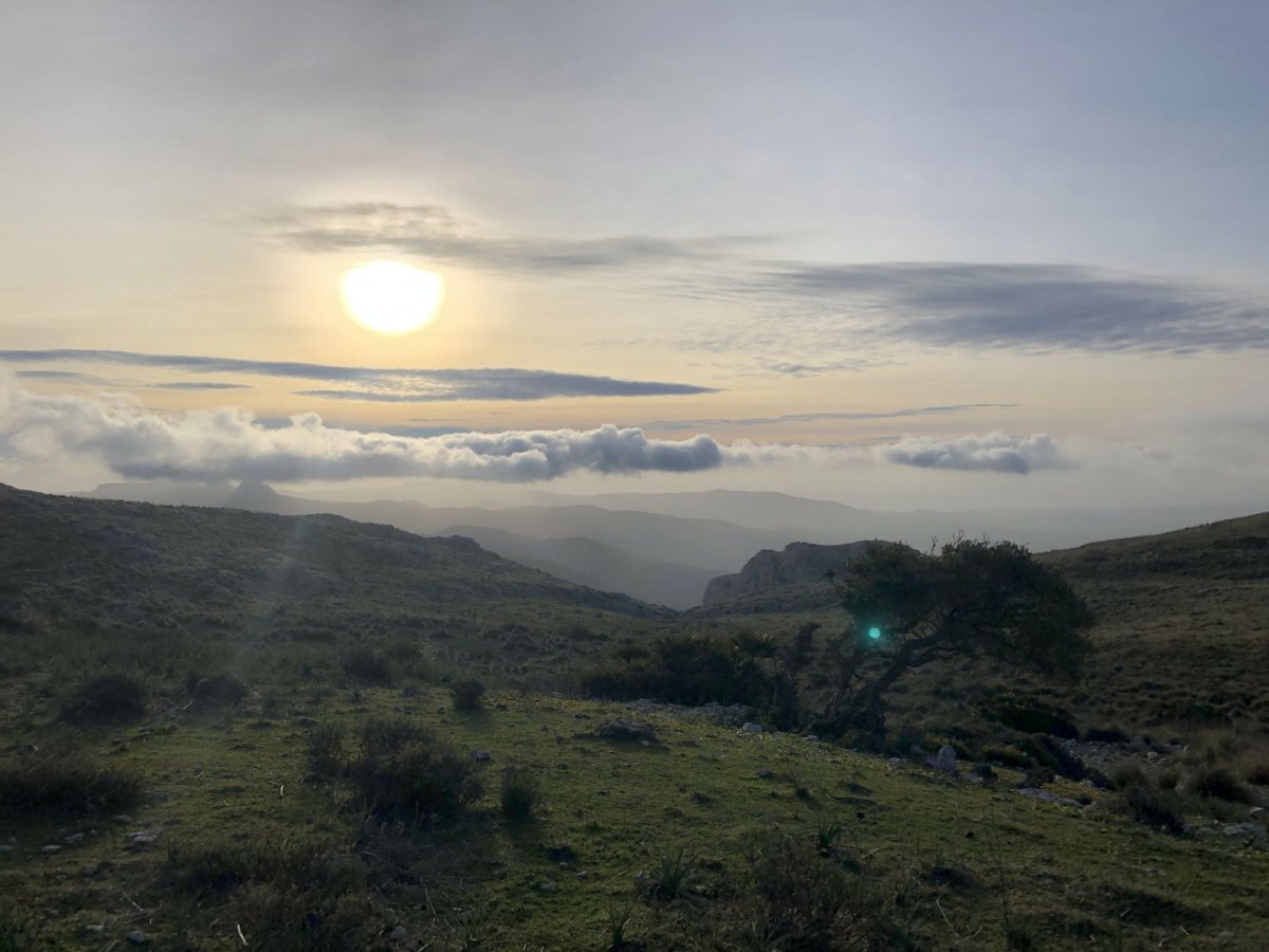 Pohled do středu ostrova