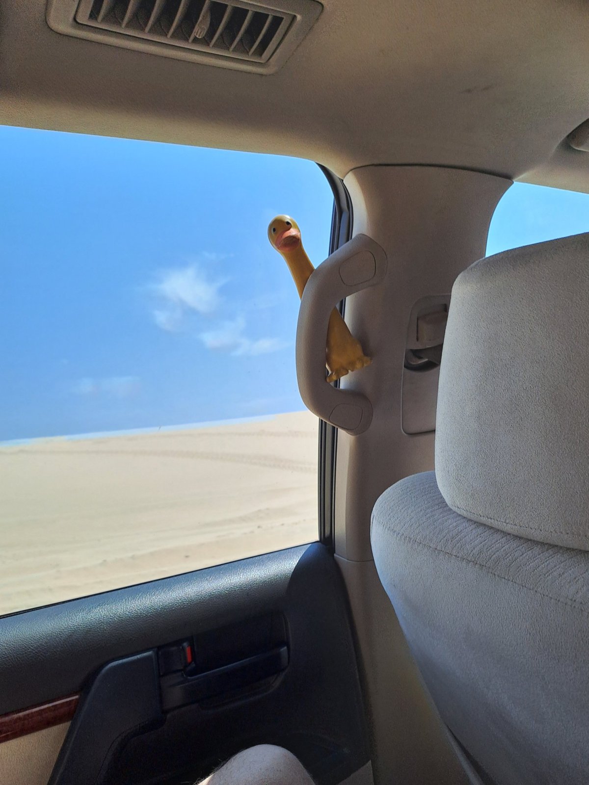 Kde jsou pásy pro Jaryna?!