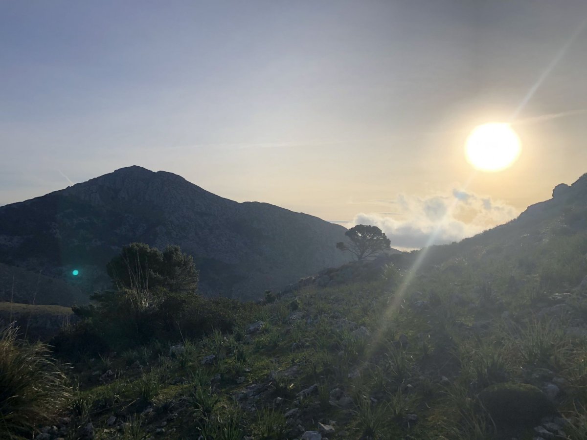 Slunce všude kolem krásně svítilo