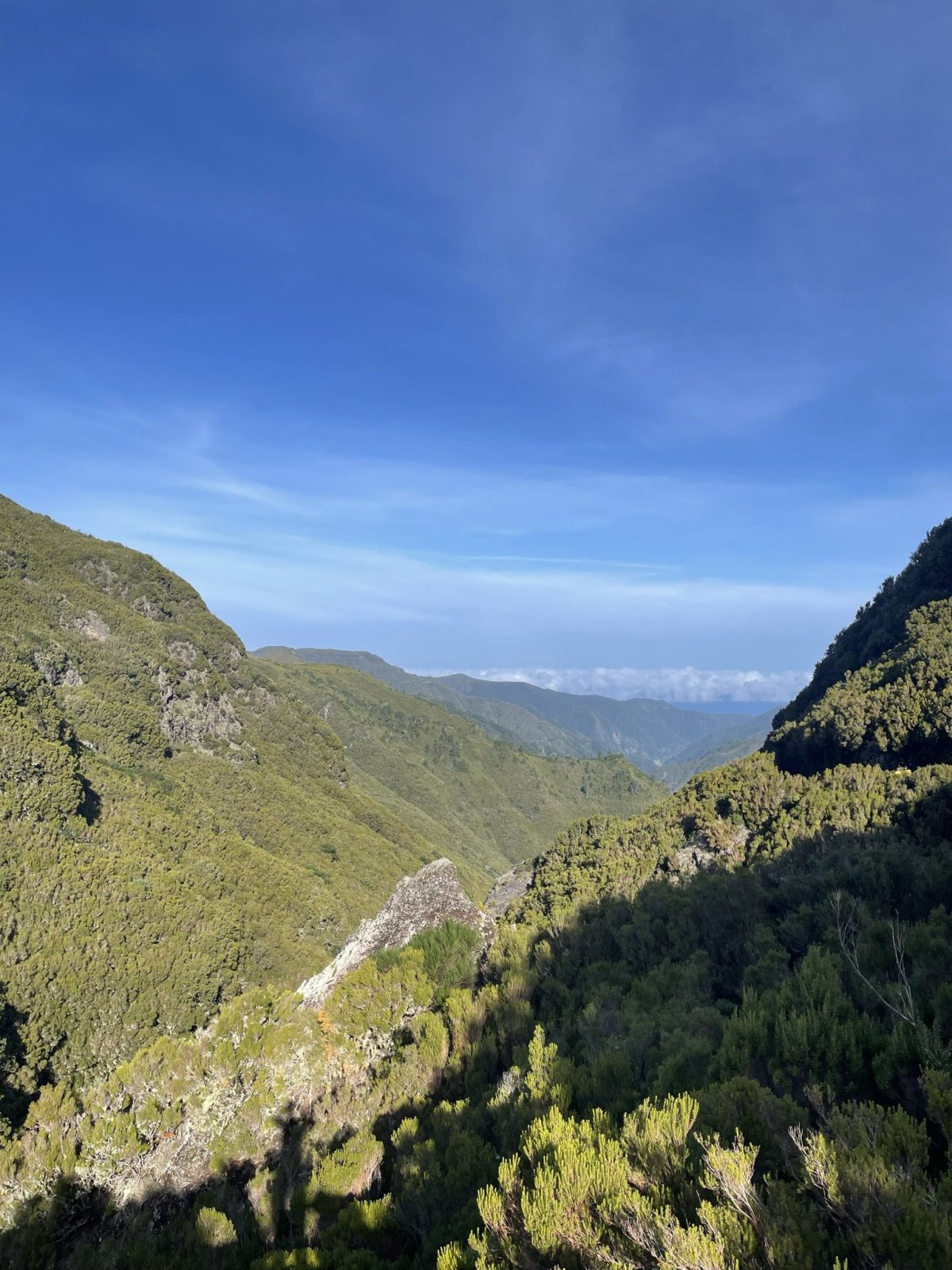 Levada das 25 Fontes