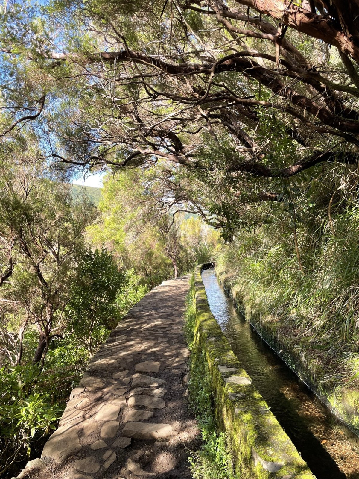 Levada das 25 Fontes