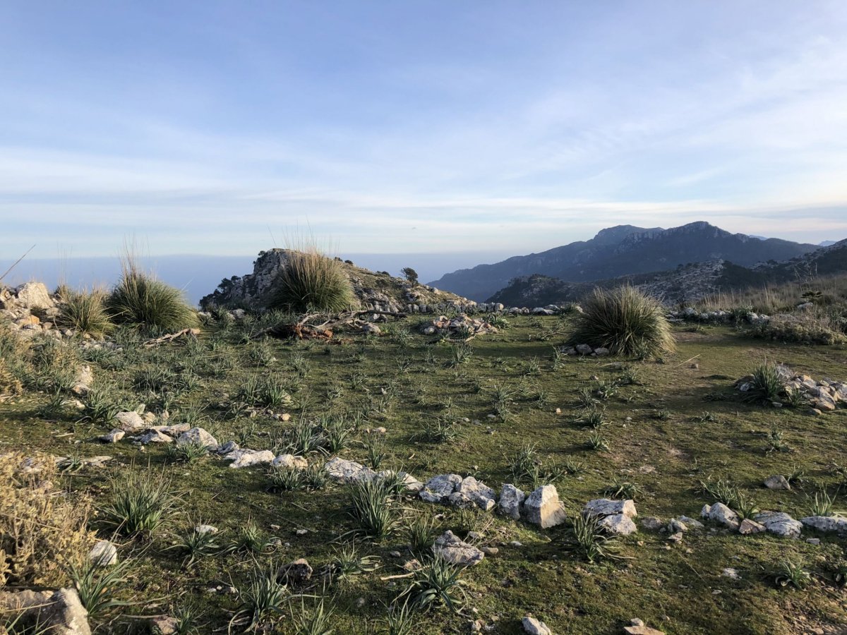 Spací místo na pláni