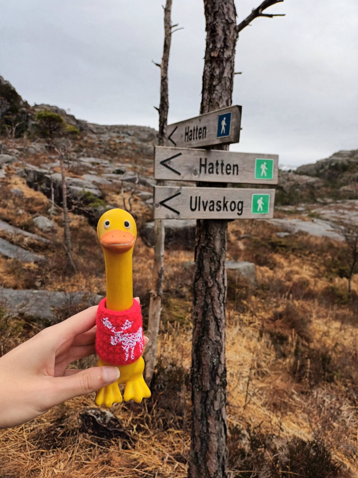 Kudy na Preikestolen?