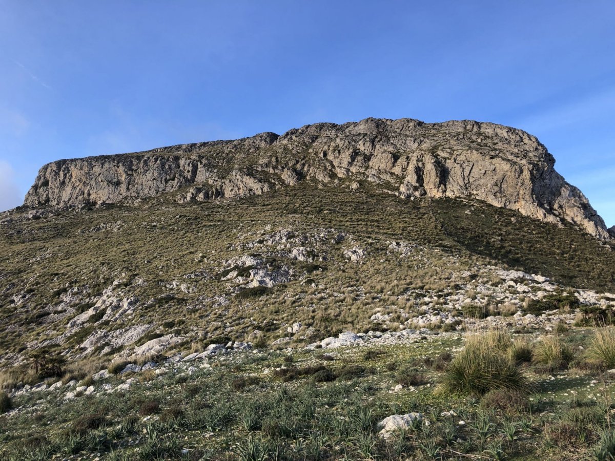 Různé masivy tu jsou