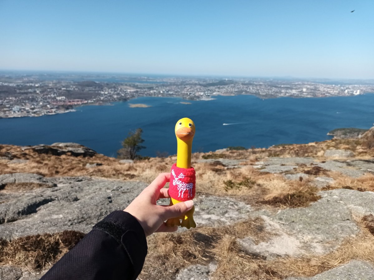 Stavanger jako na dlani ✋