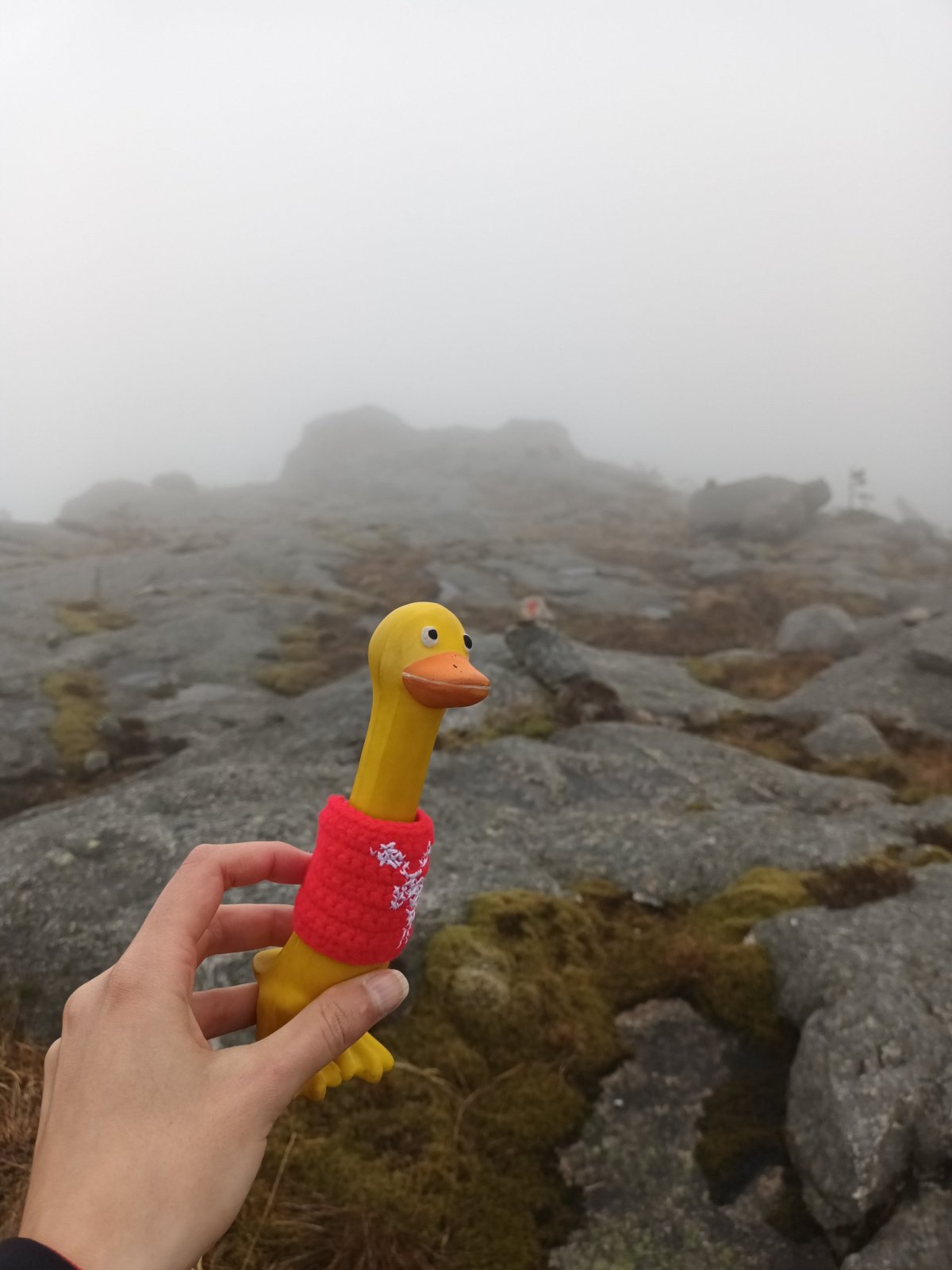 Tuhle hru mám rád.. kdepak je ďublík 🙈