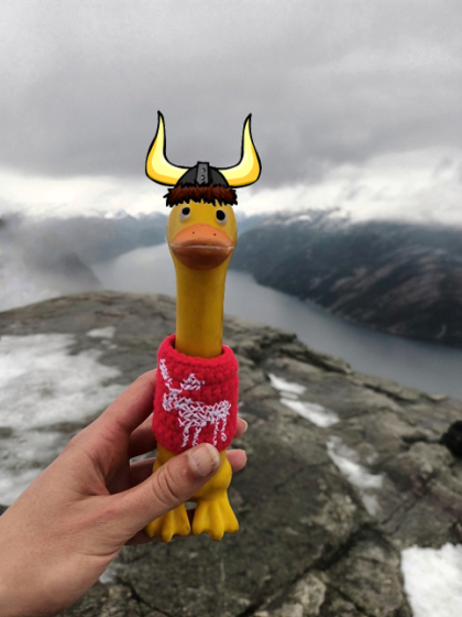 Já jsem kachnička-Viking!