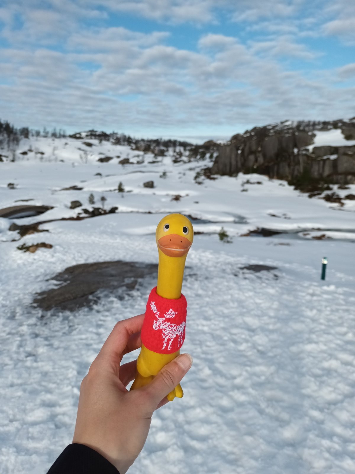 Tady mrzne až praští.. i v dubnu 🌼