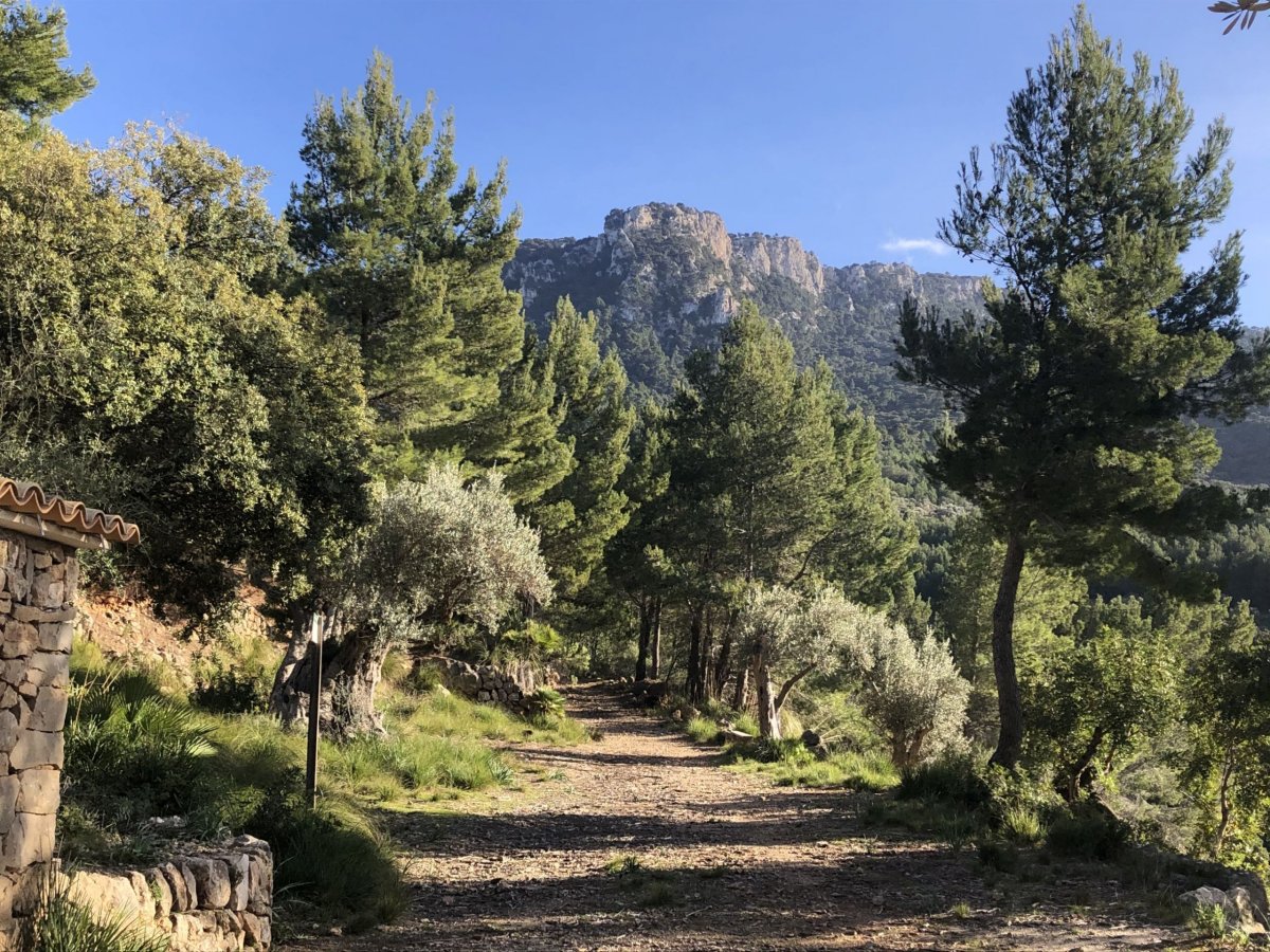 Výhled před chatou směrem od moře