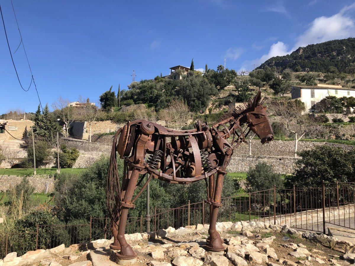 Nesmrtelný tvor v Estellencs:)